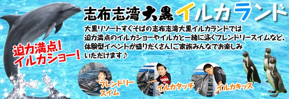 志布志湾大黒イルカランド