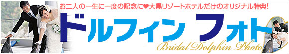 ドルフィンフォト