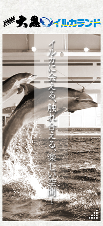 志布志湾大黒イルカランド