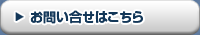 志布志湾大黒イルカランドへのお問合せはこちら
