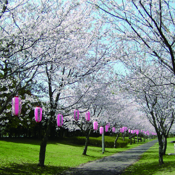 志布志大浜緑地公園