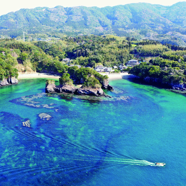 夏井海岸